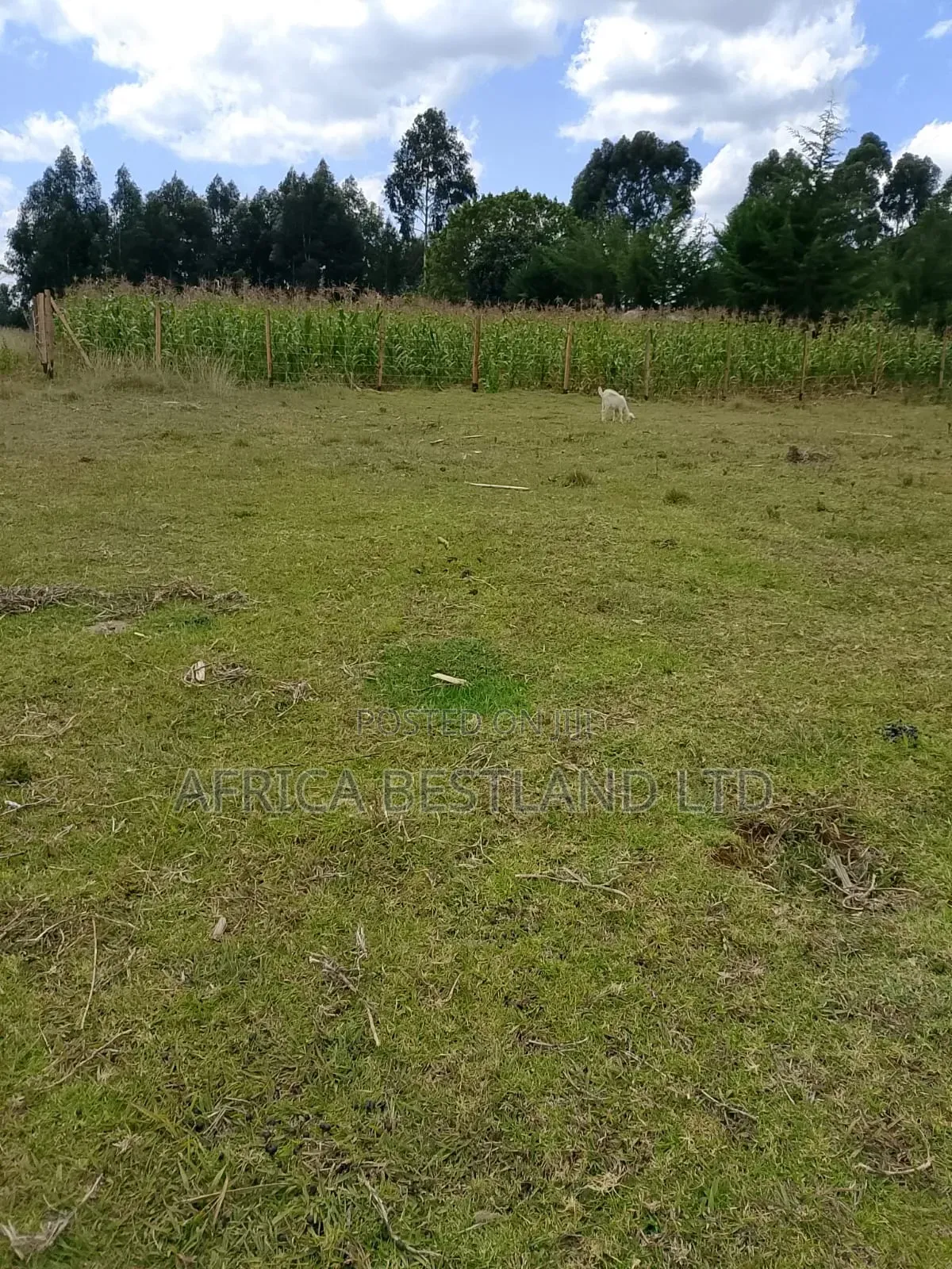  1⁄2 Acre Prime Land for Long-Term Lease – Kabete, Wangige