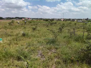 50 by 100 Plot for Sale Malaa, Opposite KBC Near Easter Ark Hotel