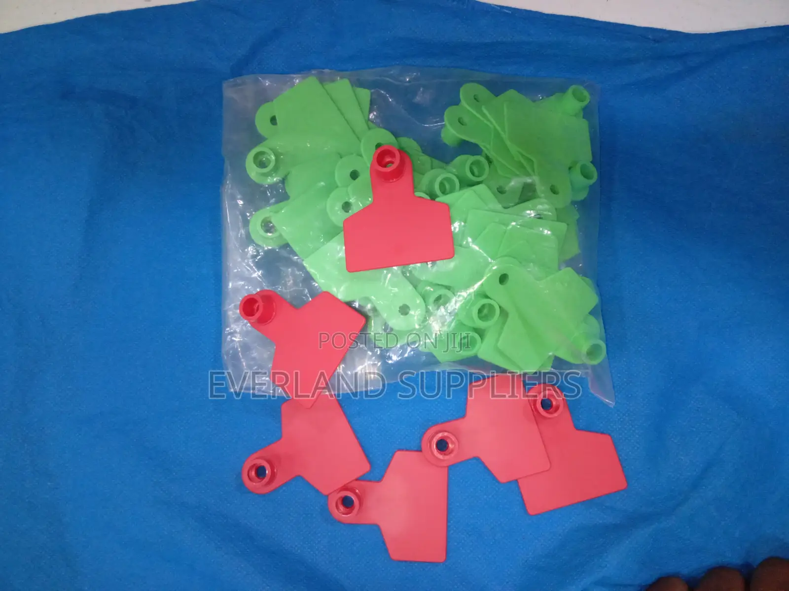 Ear Tags - Visual Reference