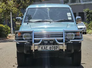 Mitsubishi Pajero 1995 Blue