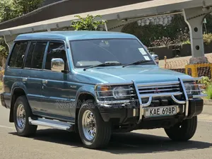 Mitsubishi Pajero 1995 Blue