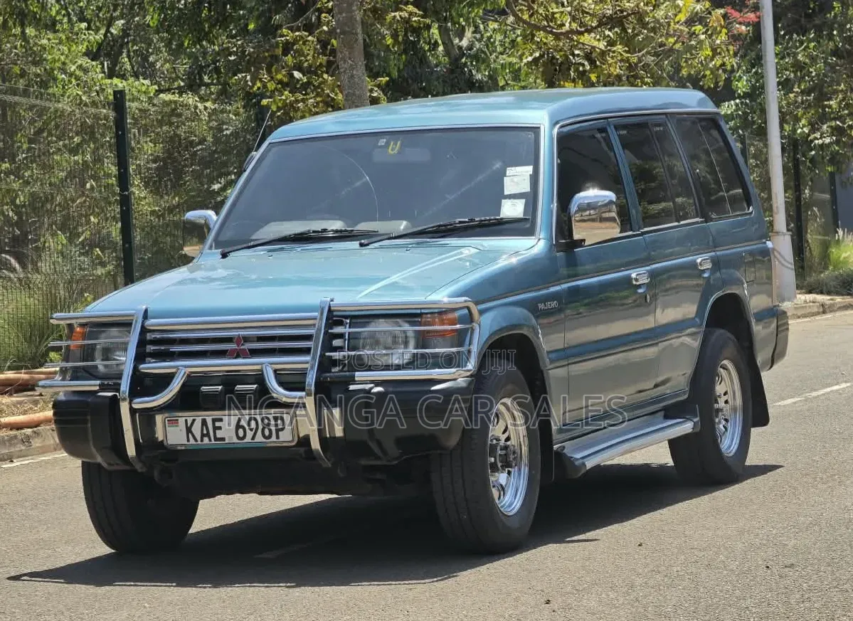 Mitsubishi Pajero 1995 Blue