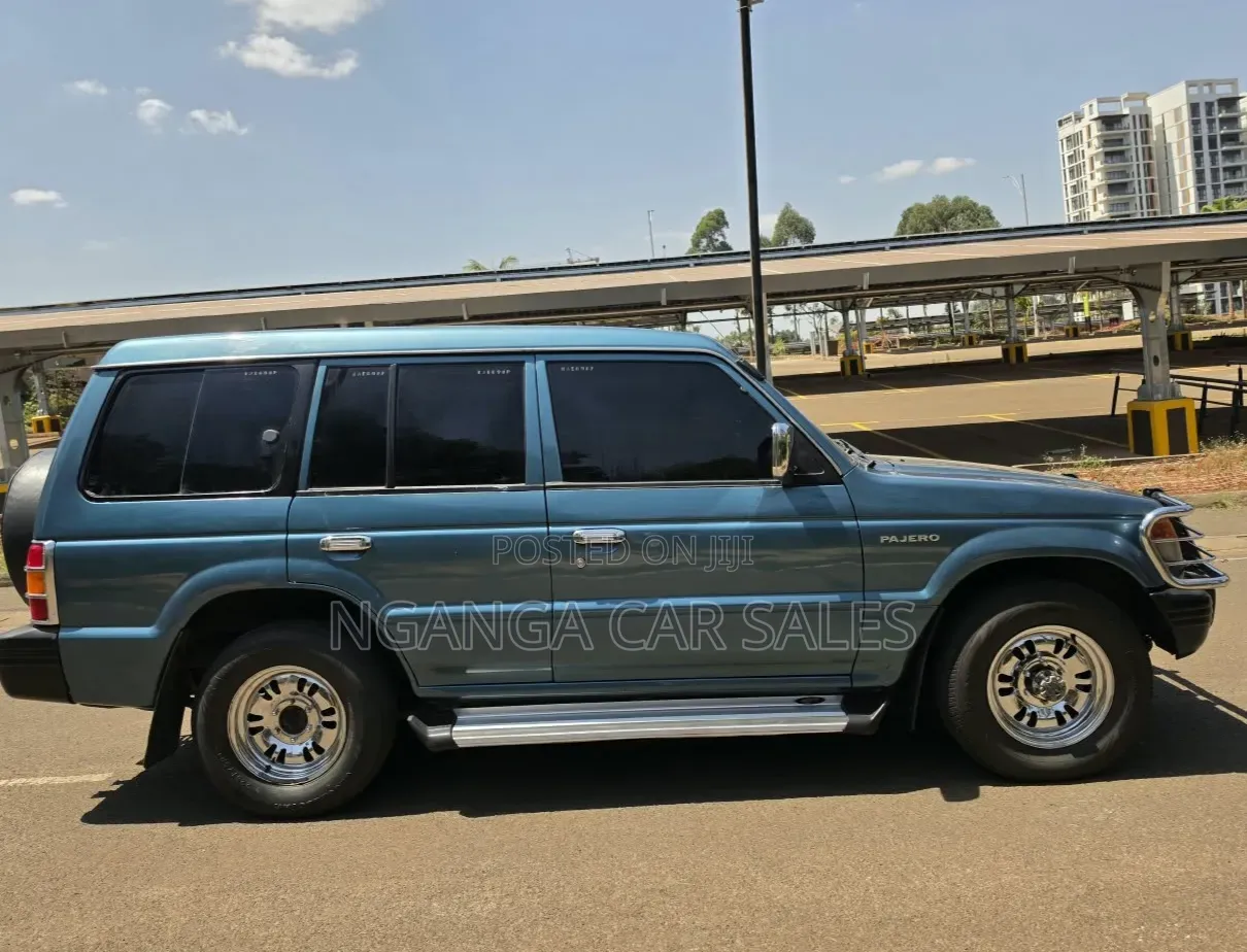 Mitsubishi Pajero 1995 Blue