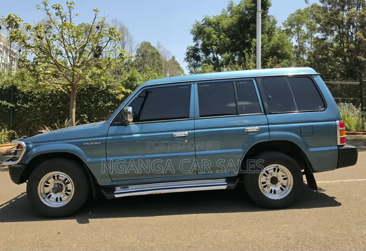 Mitsubishi Pajero 1995 Blue