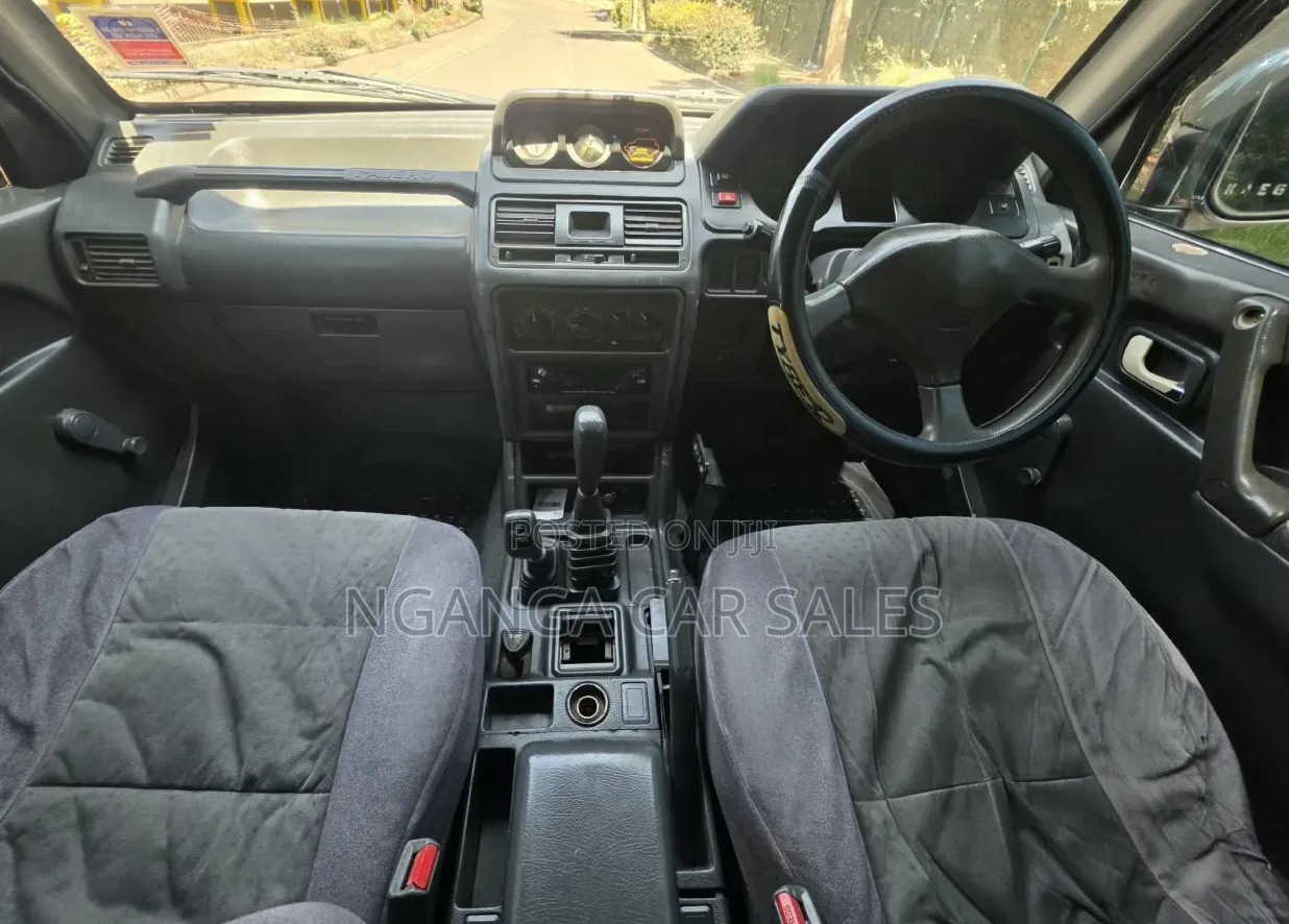 Mitsubishi Pajero 1995 Blue