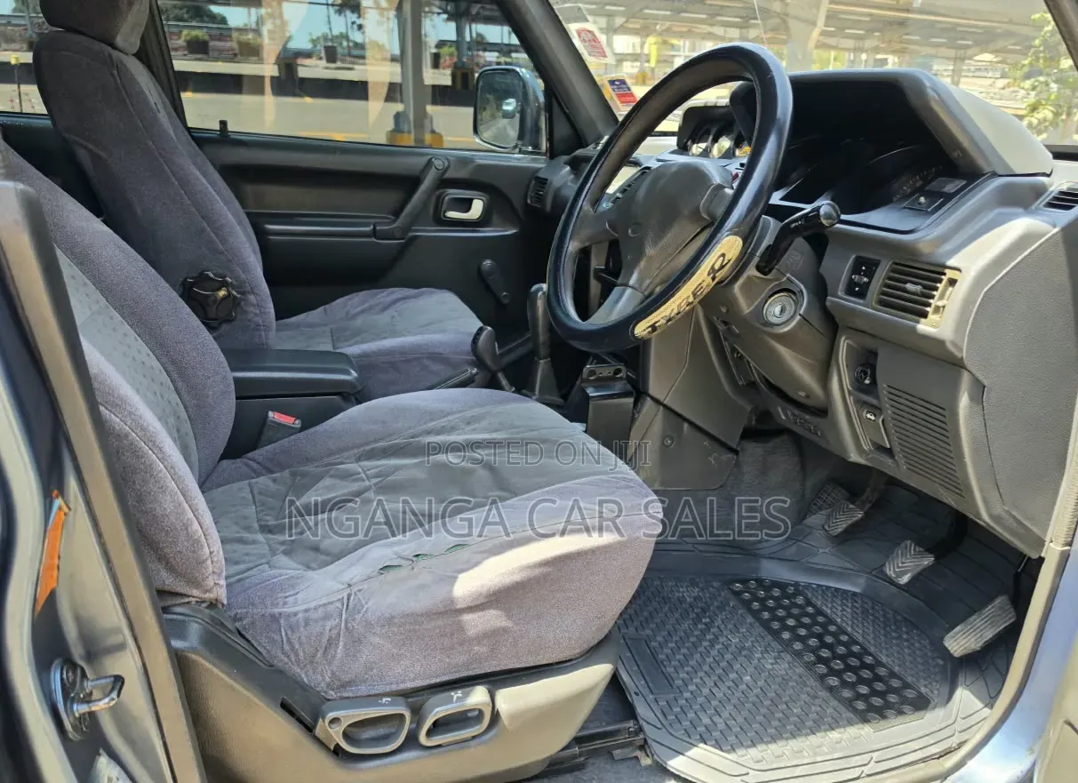 Mitsubishi Pajero 1995 Blue