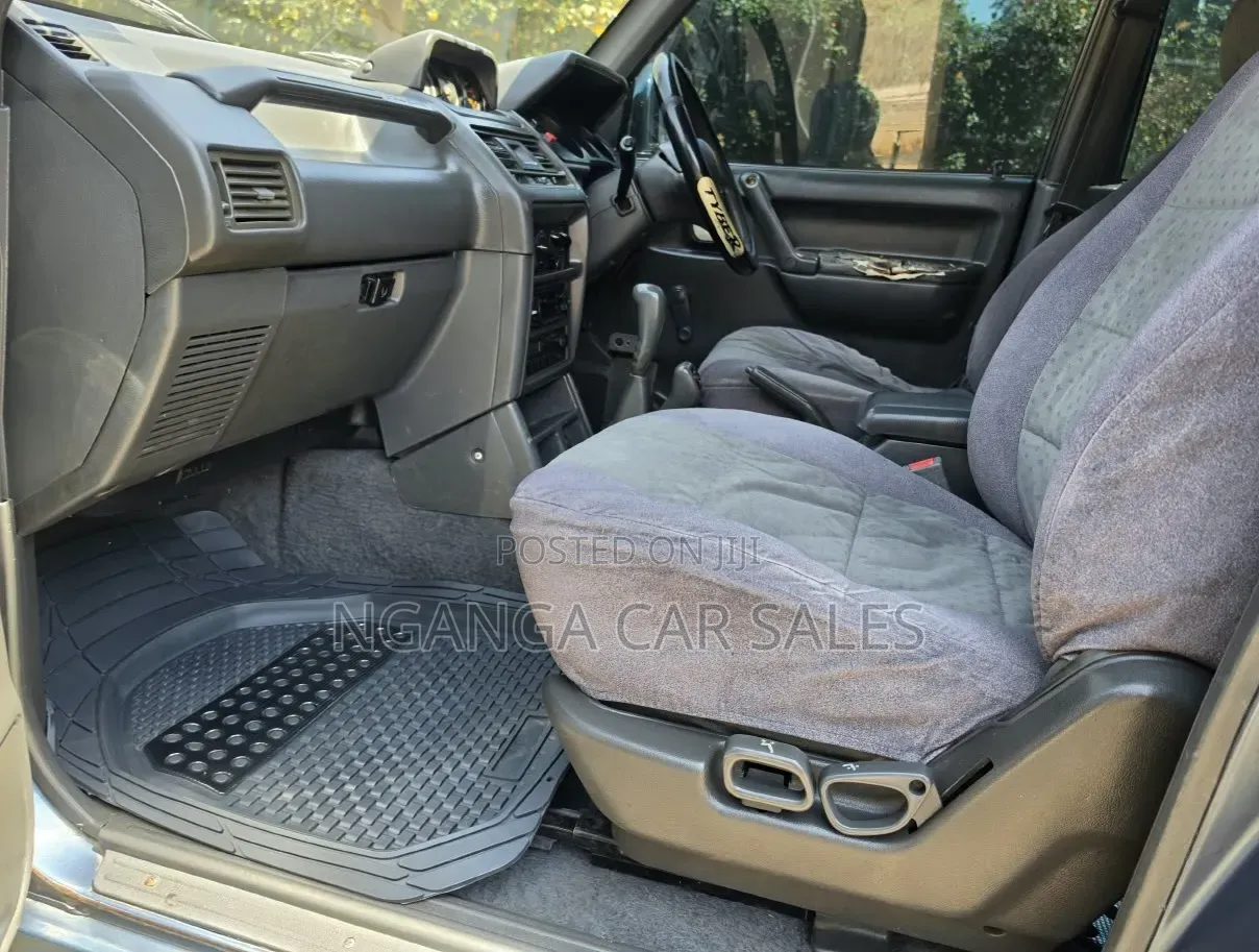 Mitsubishi Pajero 1995 Blue