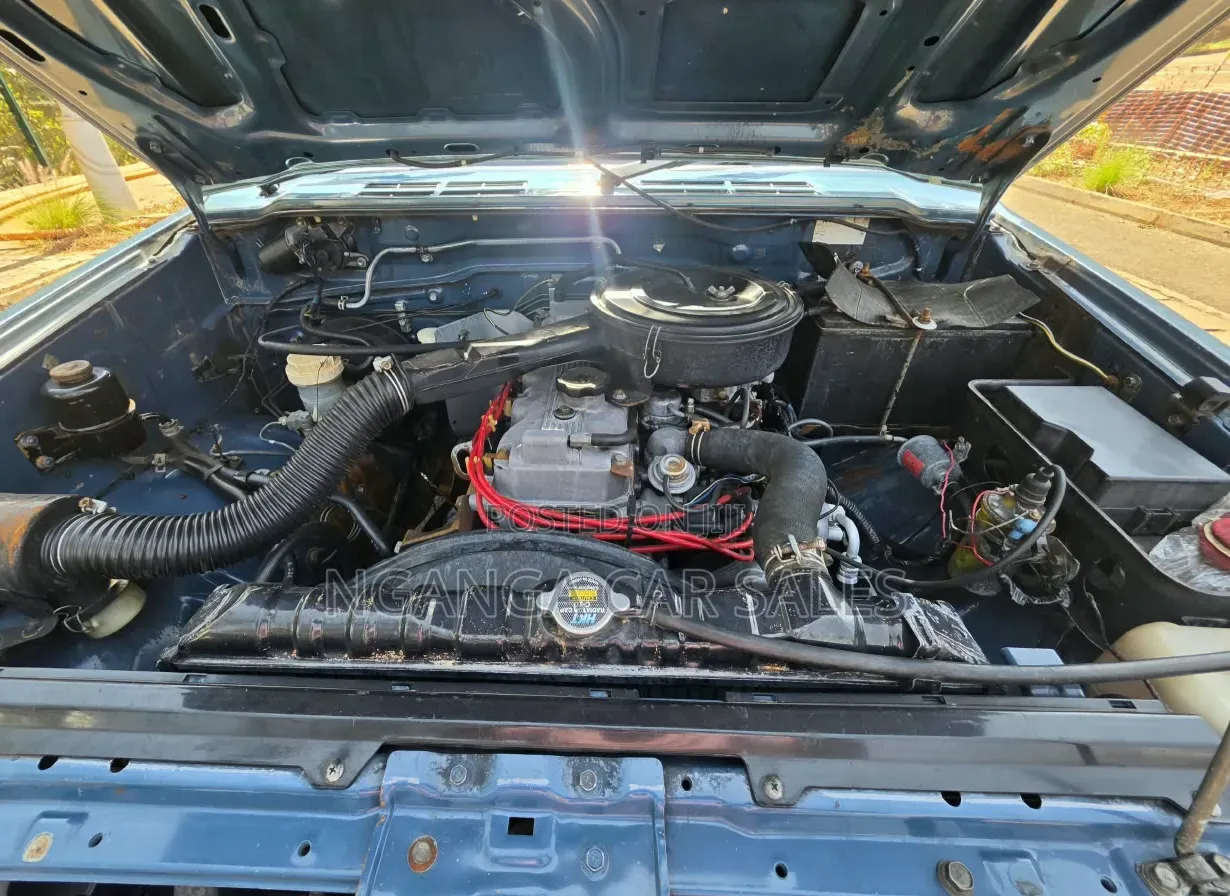 Mitsubishi Pajero 1995 Blue