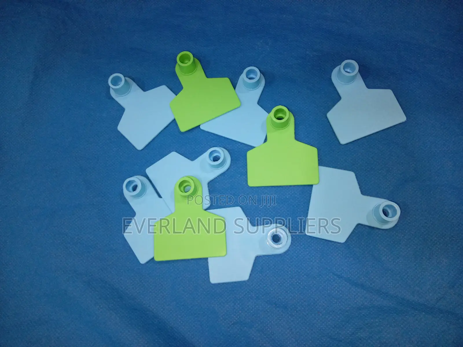 Ear Tags - Routine Sorting