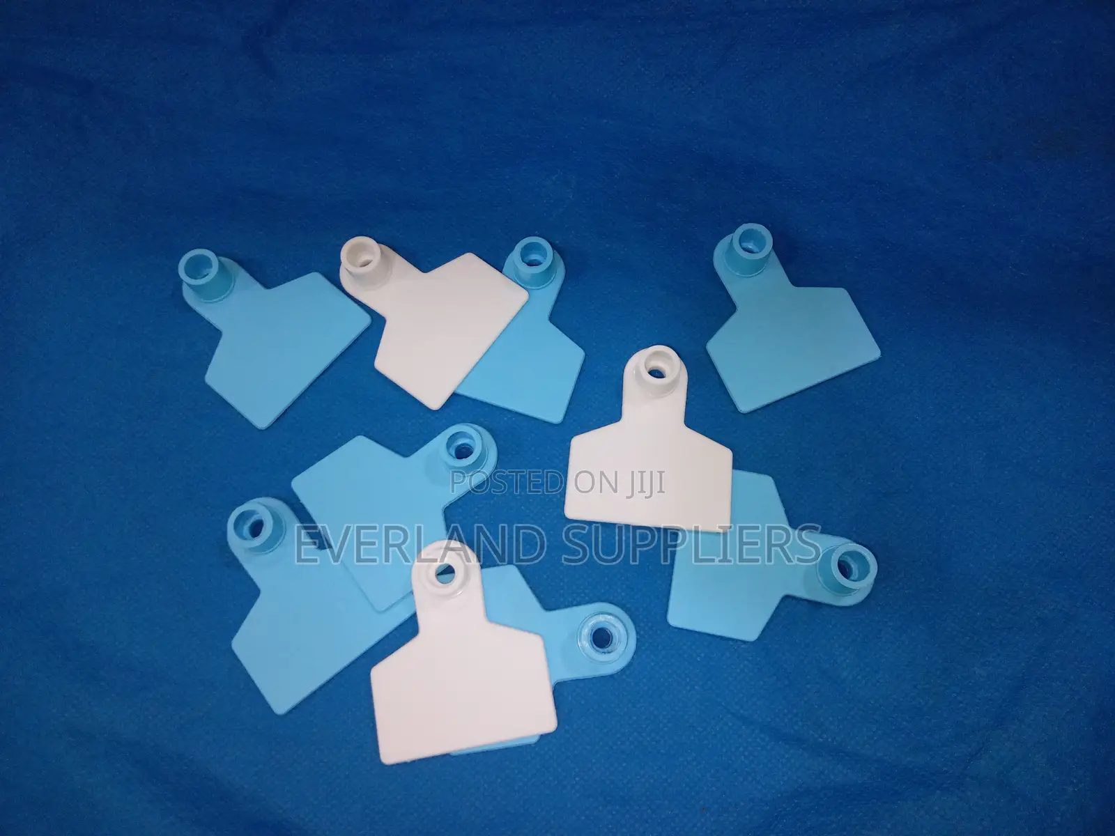 Ear Tags - Countable