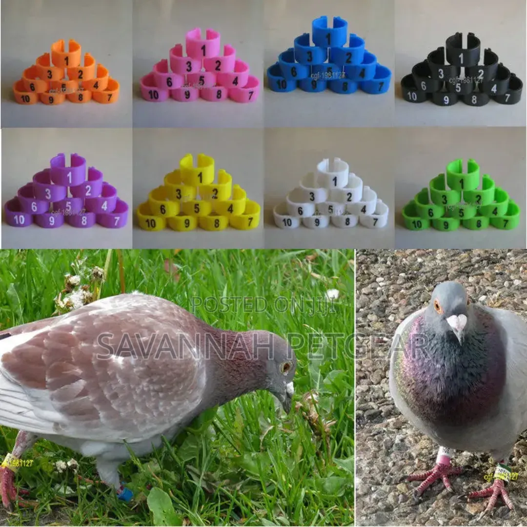 Pigeon Leg Bands/Rings With Excellent Quality - 100 Pieces
