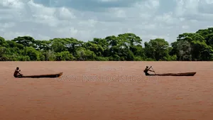 500 to 1000 Acres for Lease Tana River for Farming at Per Year