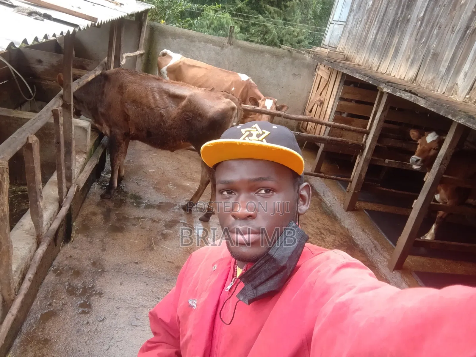 Farm Caretaker , and Home Keeping