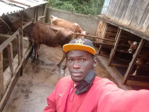 Farm Caretaker , and Home Keeping