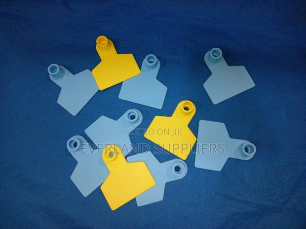 Ear Tags - Distinguishable - main view