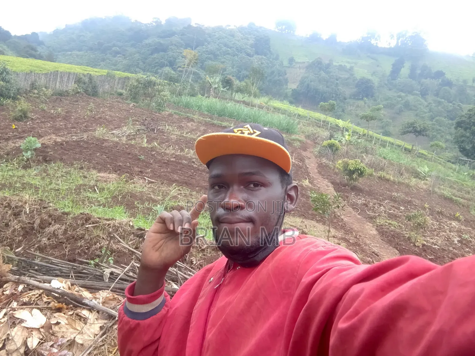 Farm Caretaker , and Home Keeping
