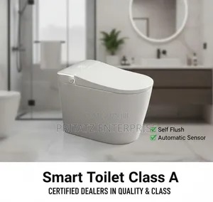 Modern Self Flush Toilets