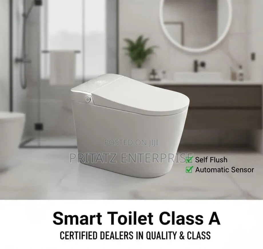 Modern Self Flush Toilets