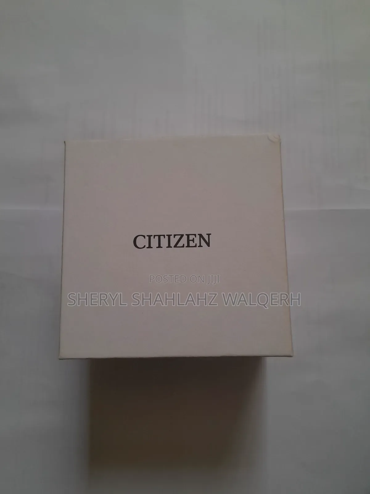 Citizen Eco-Drive Petite Palidoro Women's Watch