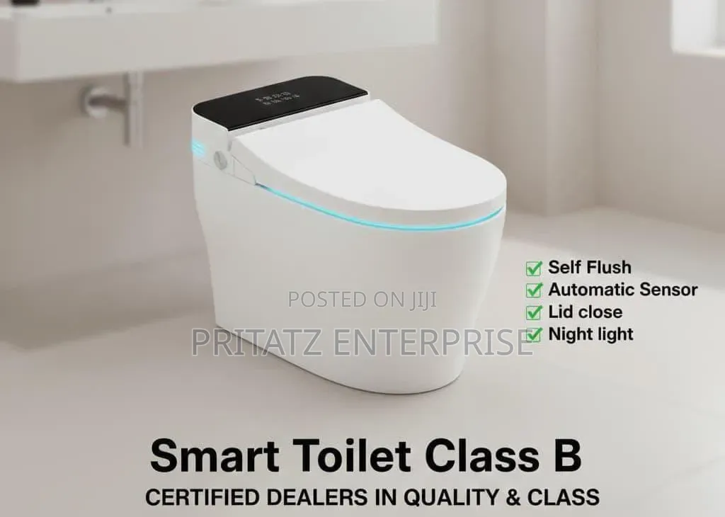 Modern Self Flush Toilets
