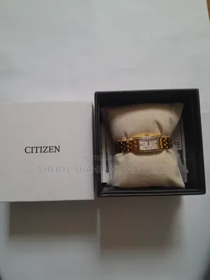 Citizen Eco-Drive Petite Palidoro Women's Watch