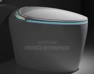 Modern Self Flush Toilets