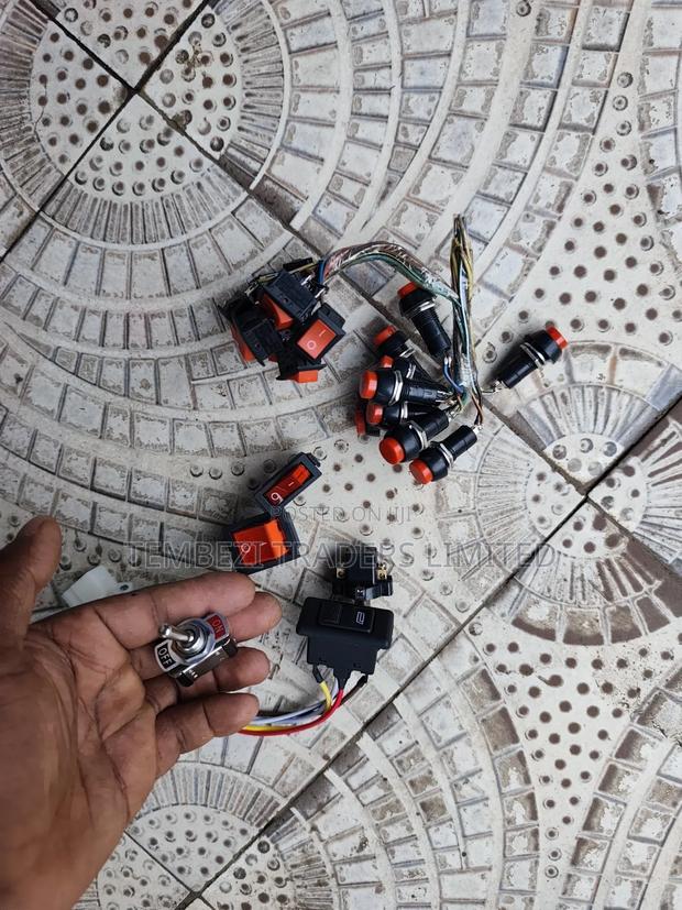 Heavy Duty Car Electronics Switches (Toggle, Rocker, Push Button) - thumbnail 2