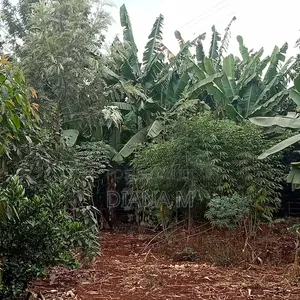 Prime 0.75-Acre Development Land for Lease – Thindigua, Kiambu