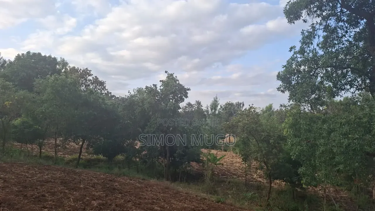 Mugumo Estate Kamiti Road Prime Well Drained Red Soil 1/4 Acre
