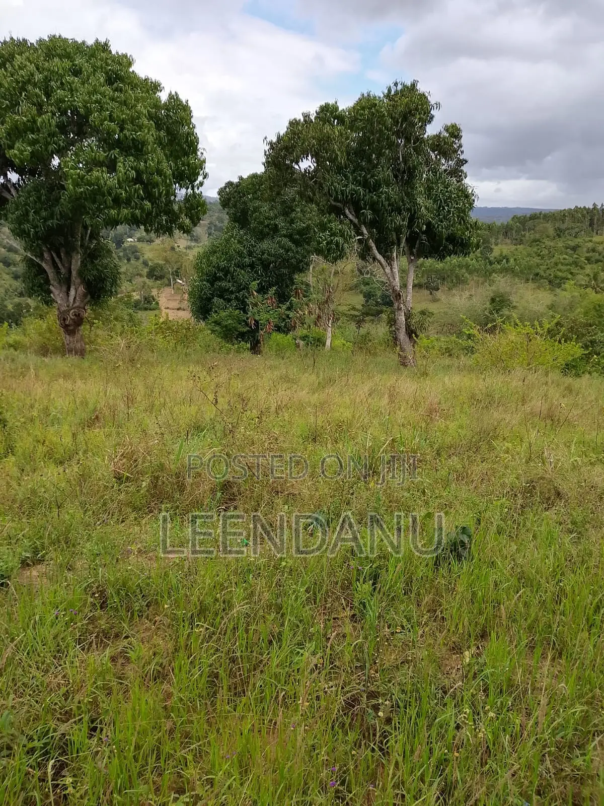 12 Acre of Farm Land for Sale