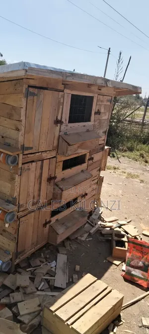Chicken Coop