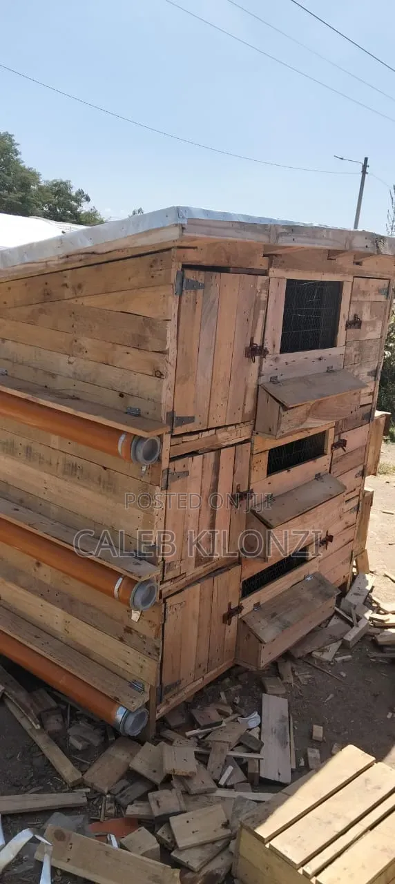Chicken Coop