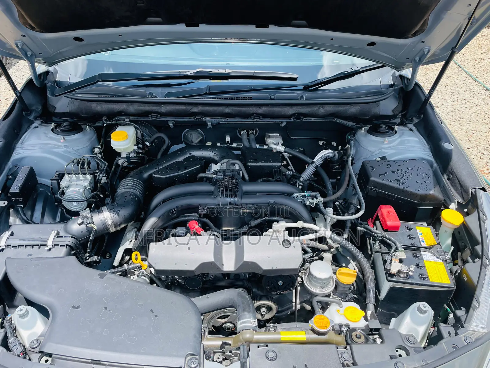 Subaru Outback 2.5i AWD 2019 Green