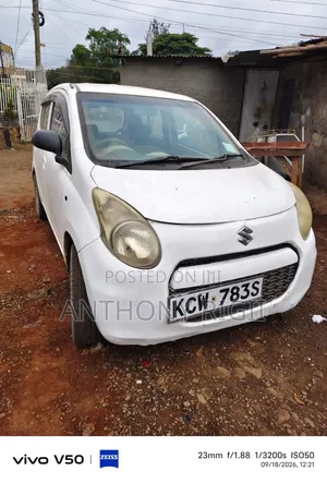 Suzuki Alto 2013 White