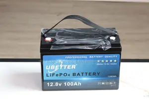 Lithium-Lithium Battery