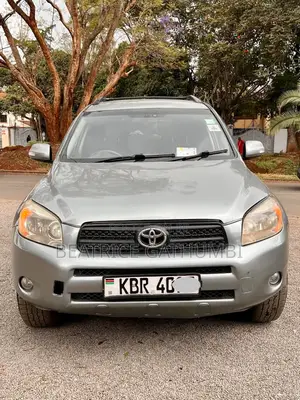 Toyota RAV4 2006 Gray