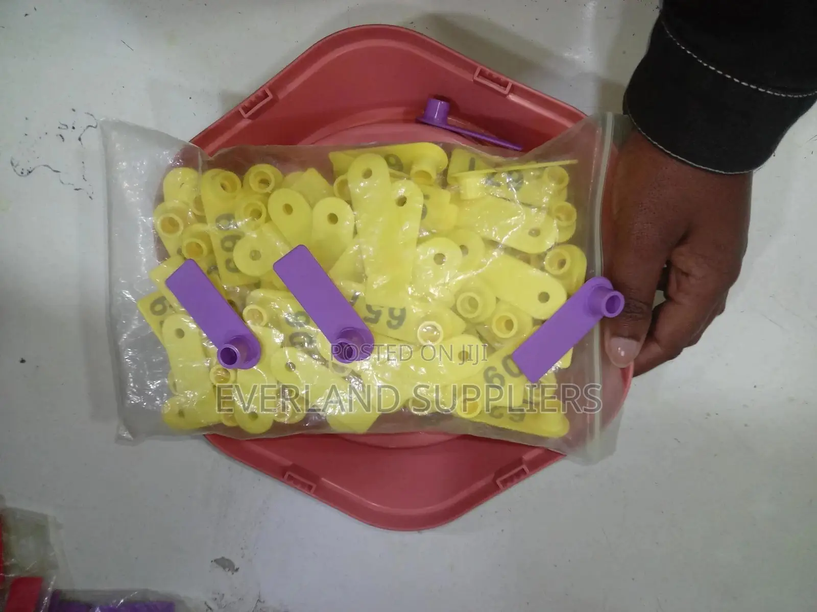 Ear Tags - Number Personalization (Pack)
