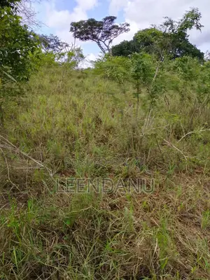12 Acre of Farm Land for Sale