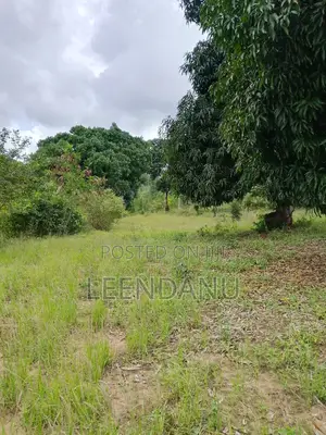 12 Acre of Farm Land for Sale