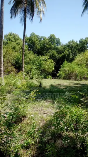 Beach Property for Sale.