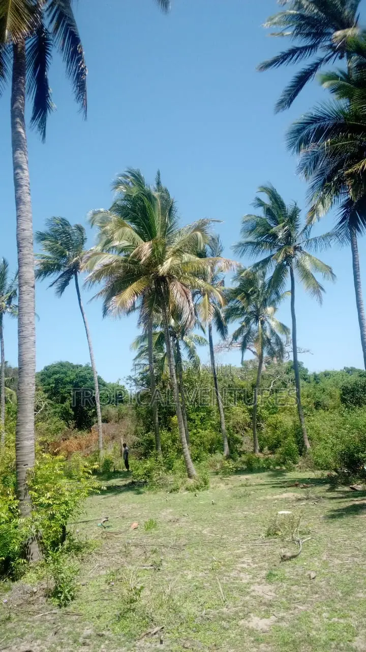 Beach Property for Sale.