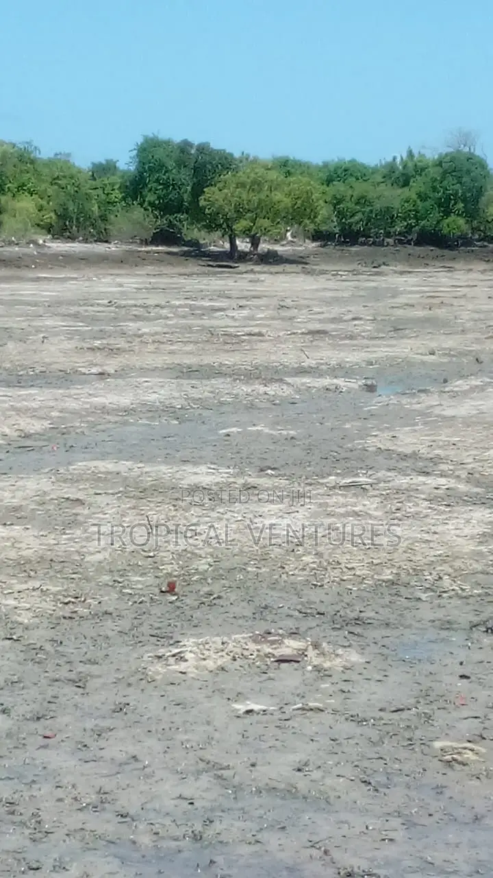 Beach Property for Sale.