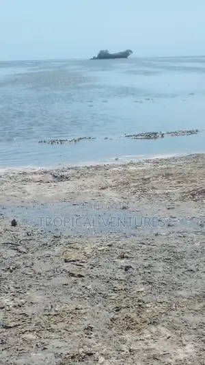 Beach Property for Sale.