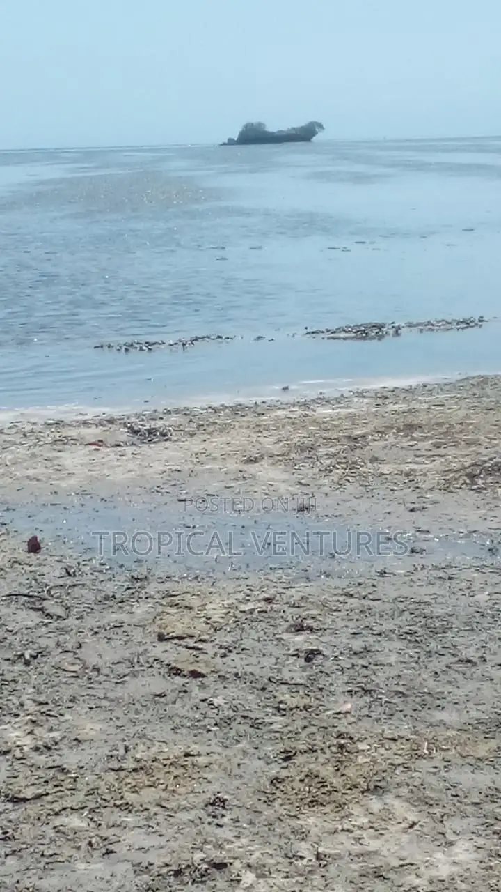 Beach Property for Sale.
