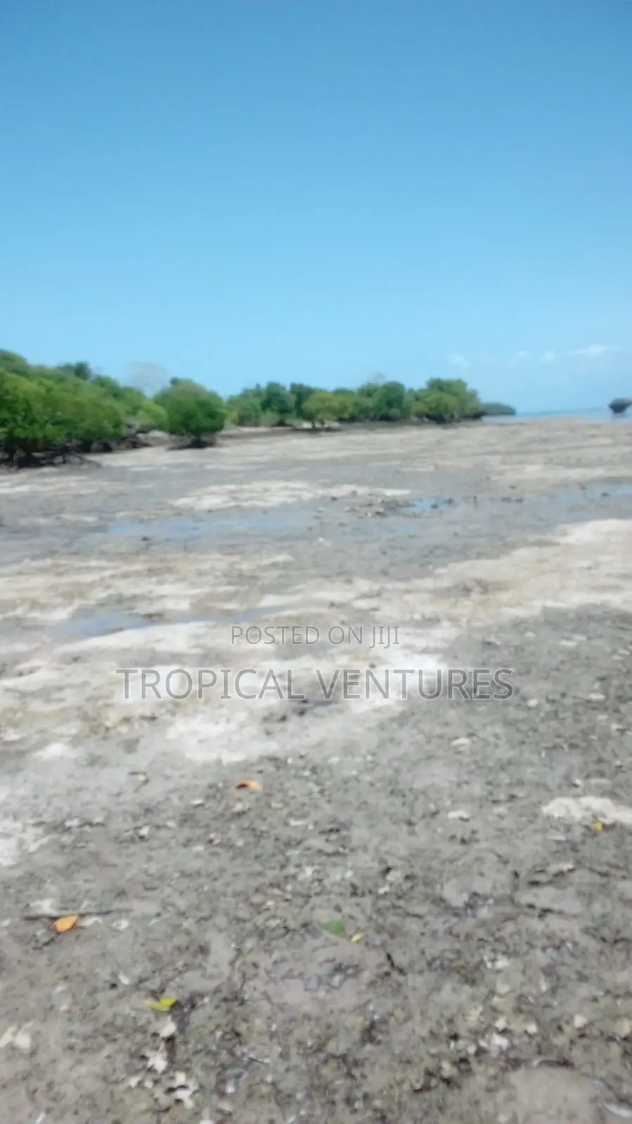 Beach Property for Sale.