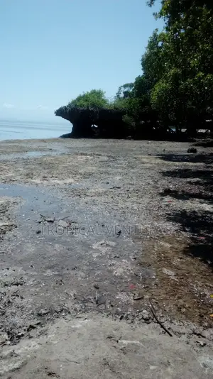 Beach Property for Sale.