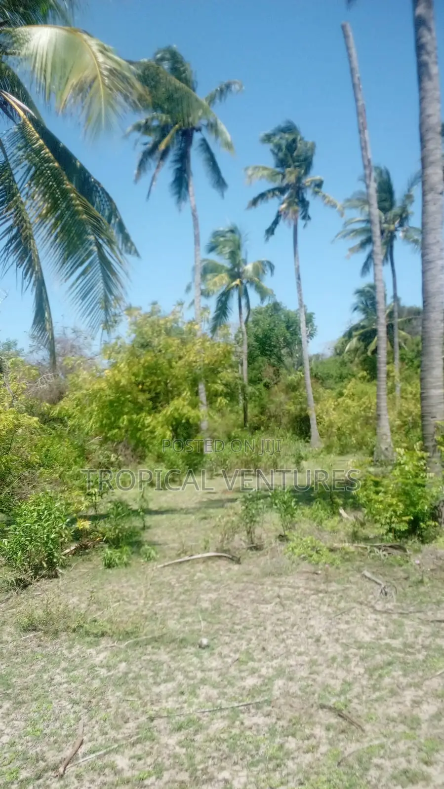 Beach Property for Sale.