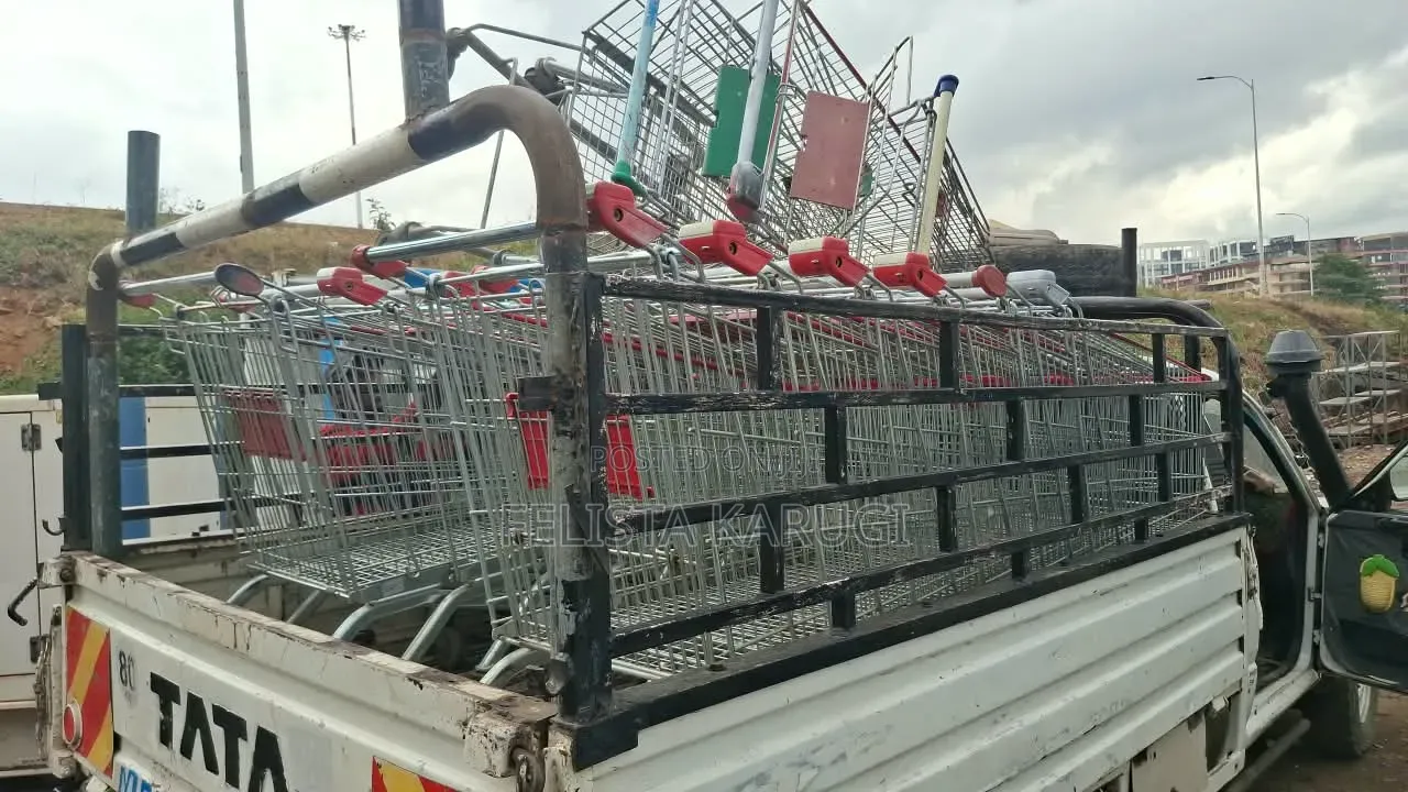 Supermarket Trolleys