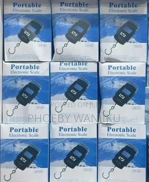 Portable Weighing Scale