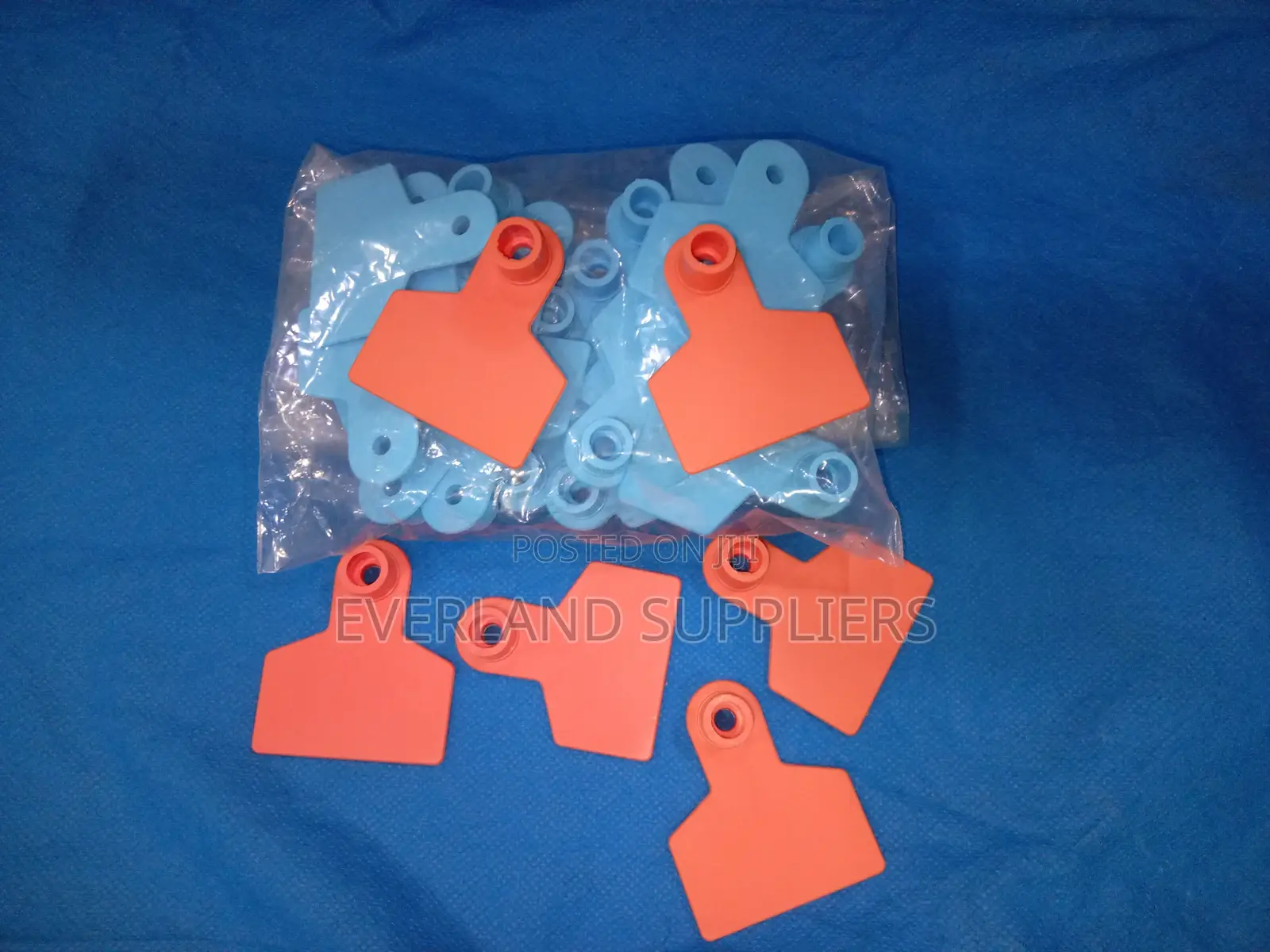 Ear Tags - Match Animal Numbers